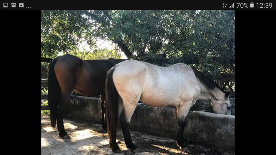 Pousada Rancho Flores Caeté المظهر الخارجي الصورة