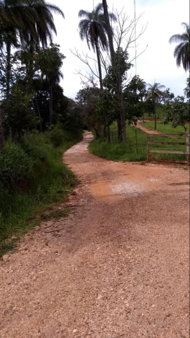 Pousada Rancho Flores Caeté المظهر الخارجي الصورة