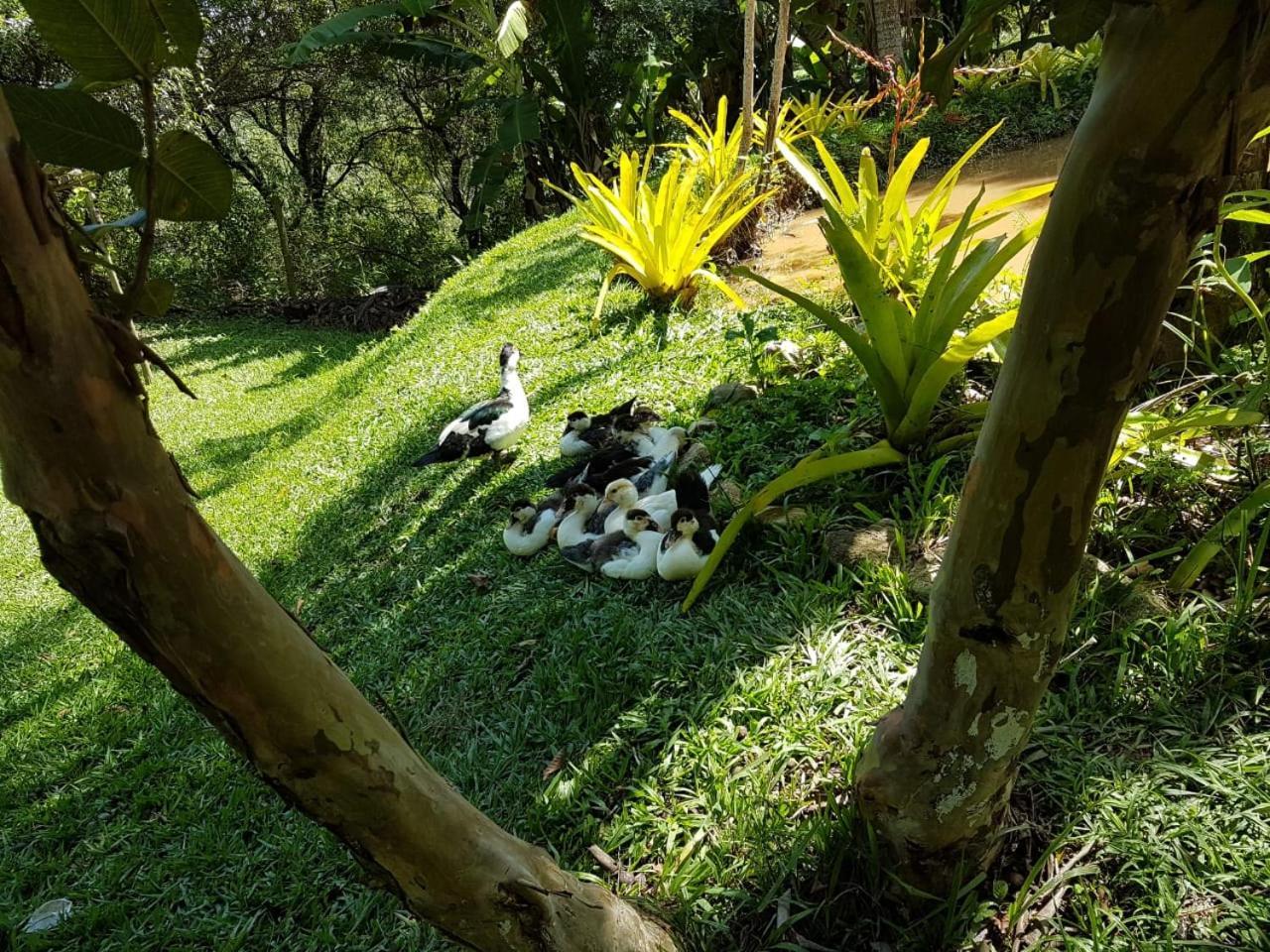 Pousada Rancho Flores Caeté المظهر الخارجي الصورة