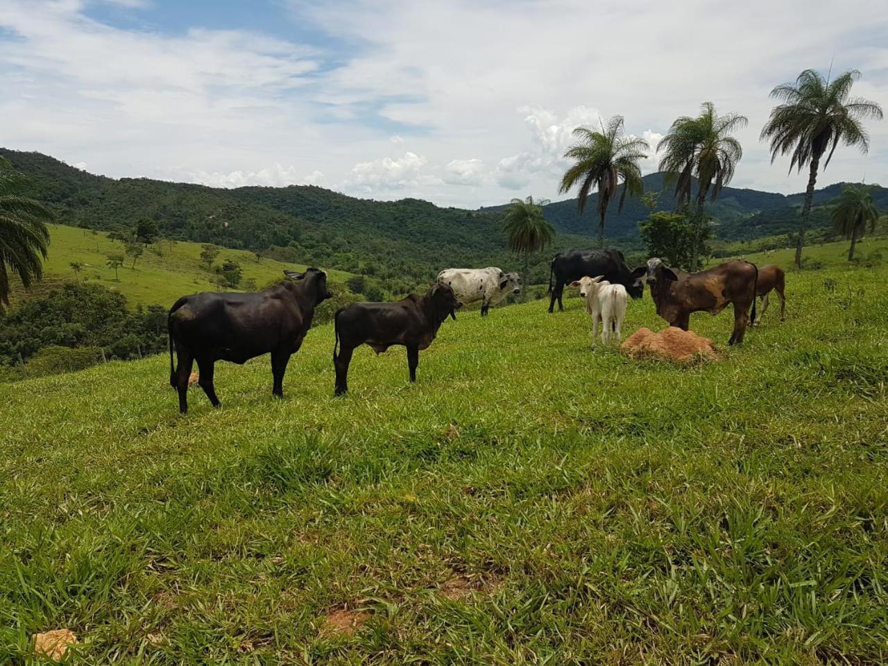 Pousada Rancho Flores Caeté المظهر الخارجي الصورة